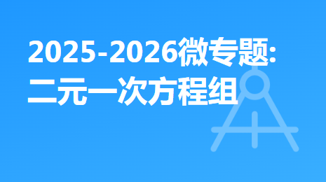 2025-2026微专题:二元一次方程组