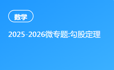2025-2026微专题:勾股定理