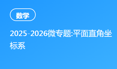 2025-2026微专题:平面直角坐标系